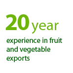 Za nami 15 lat dowiadcze w eksporcie warzyw i owocw